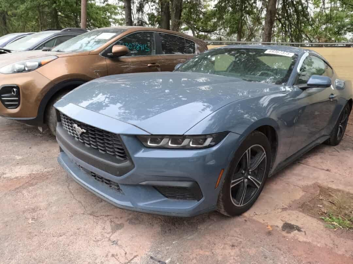 ფდსდსგფდს